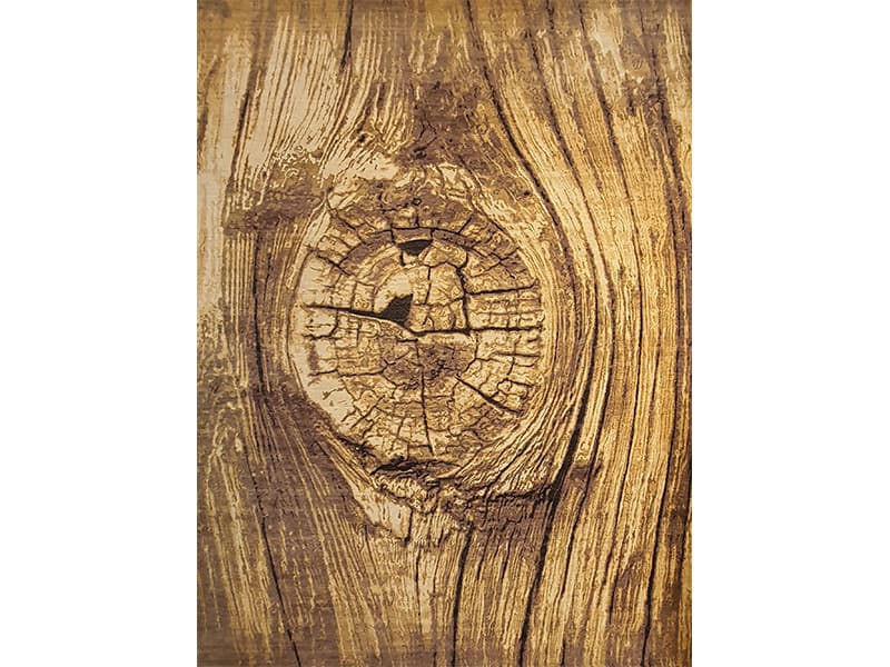 Tree Bark design