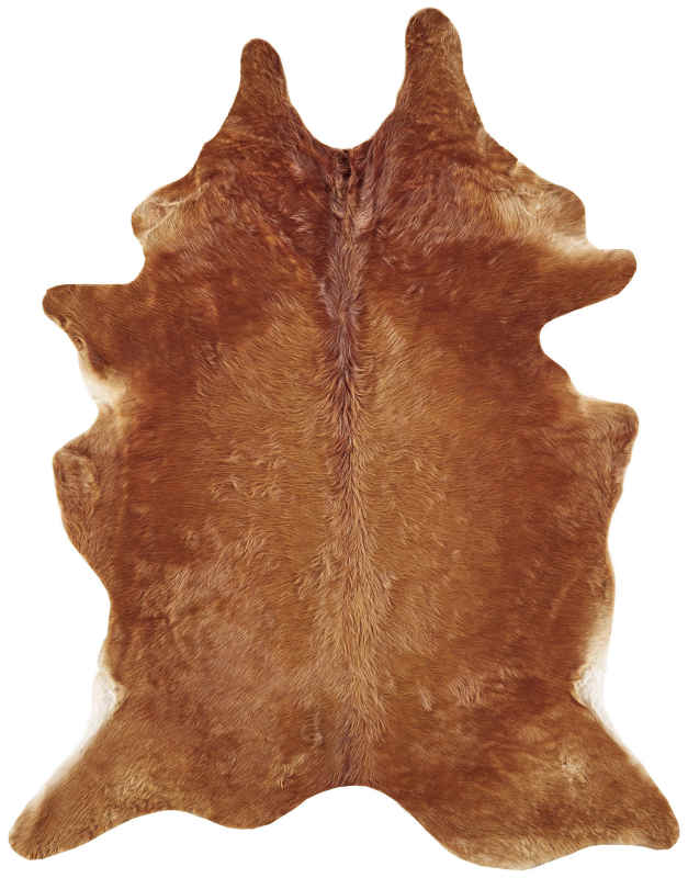 Bartlett Transitional Animal Print, Brown, Large Shaped Rug